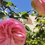 Vakantieboerderij Fattoria Di Mugnano Colle di Val d'Elsa