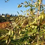 Fattoria Di Mugnano *