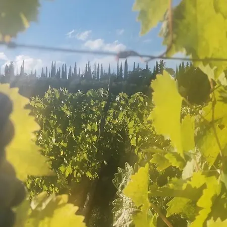 Fattoria Di Mugnano Feriegård