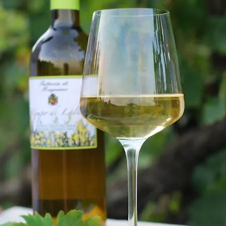 Feriegård Fattoria Di Mugnano *