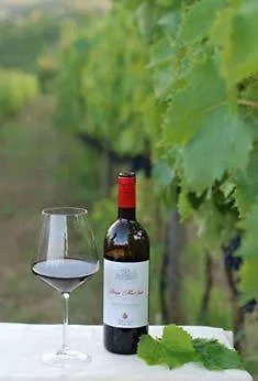 Feriegård Fattoria Di Mugnano *