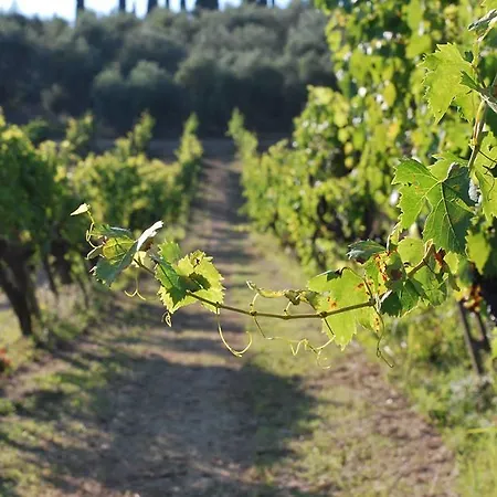 Feriegård Fattoria Di Mugnano Colle di Val d'Elsa