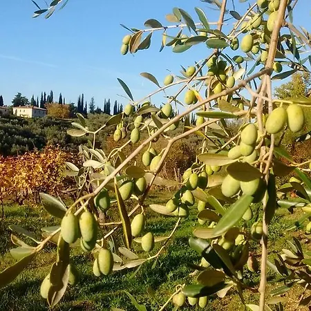 Fattoria Di Mugnano *