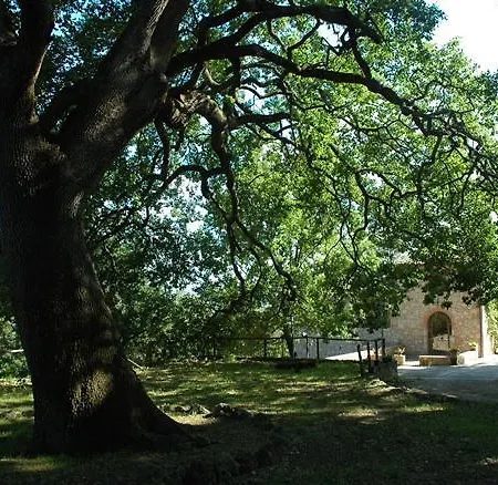 Feriegård Fattoria Di Mugnano Colle di Val d'Elsa