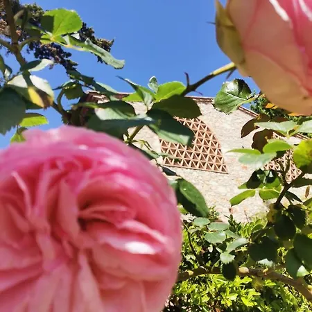 Vakantieboerderij Fattoria Di Mugnano Colle di Val d'Elsa