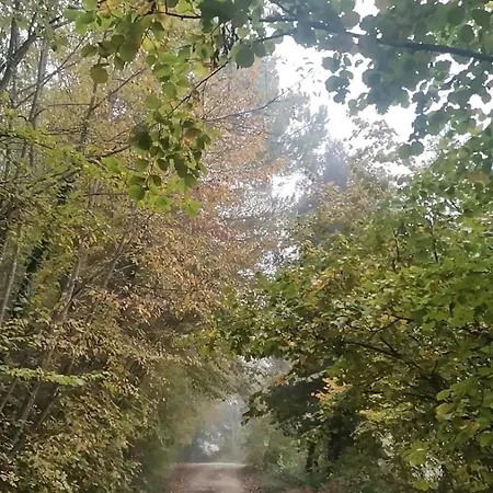 Fattoria Di Mugnano * Colle di Val d'Elsa